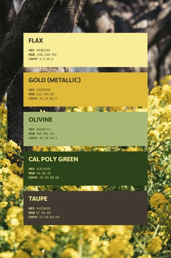 每日色卡Vol.23｜春夏必收的氛围感配色 ✅