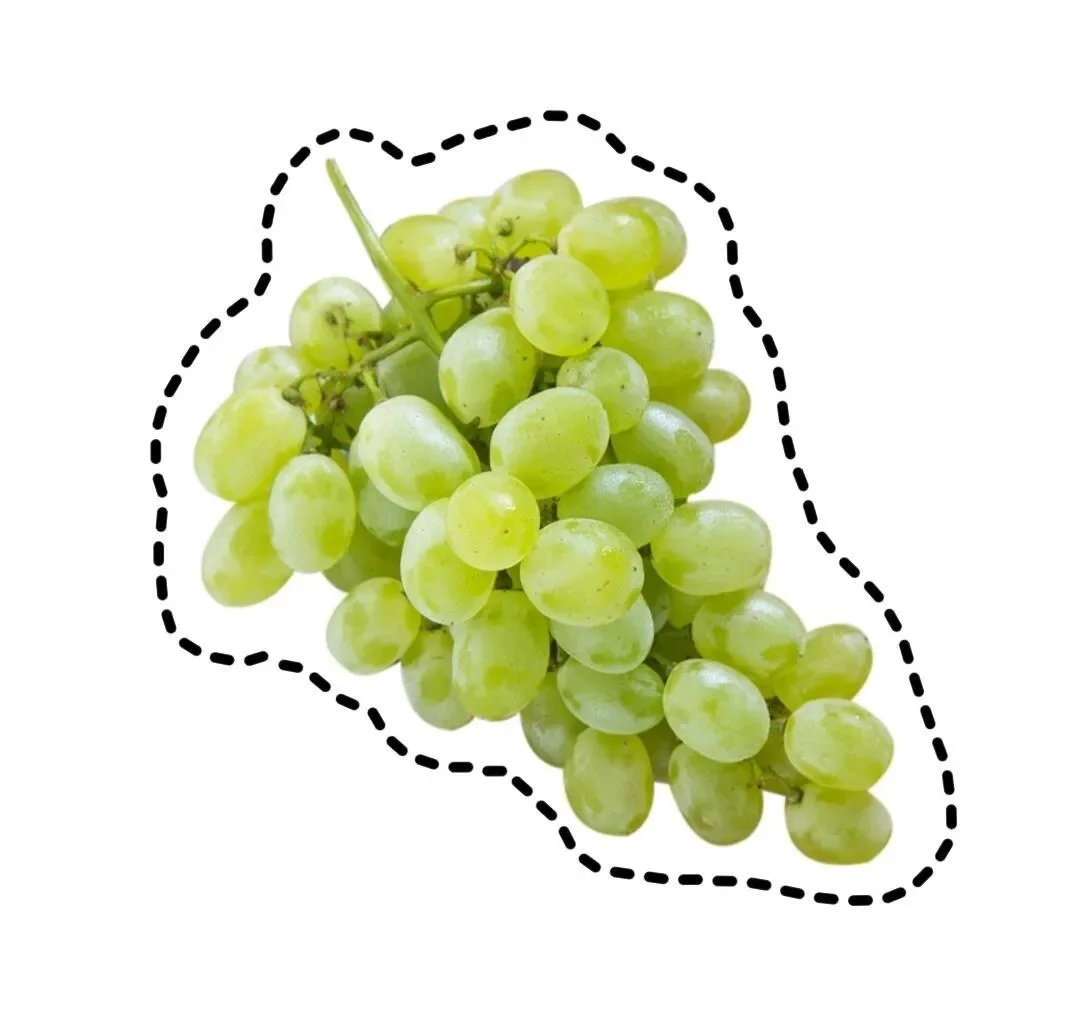 水果认知图片玩具｜可打印 手工剪纸素材