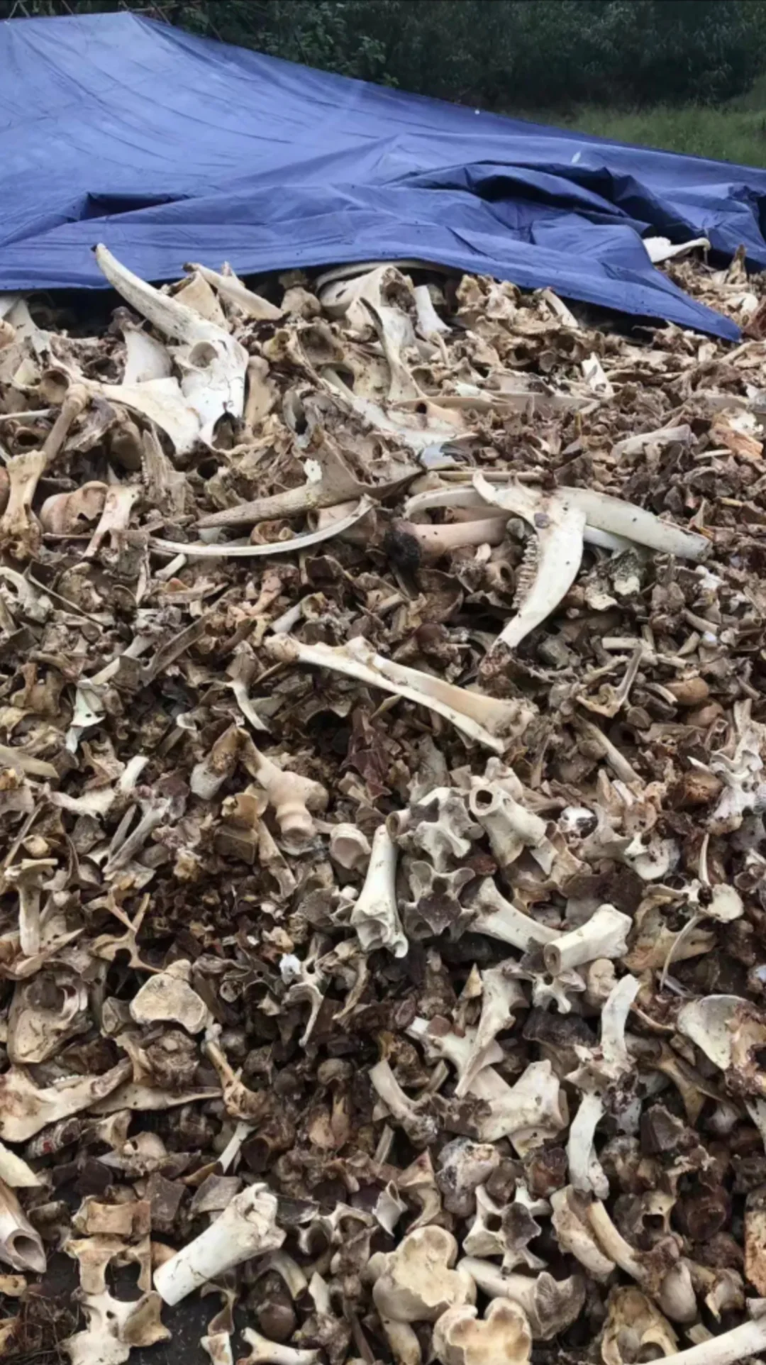 收废品废料，啥都收，按吨收。