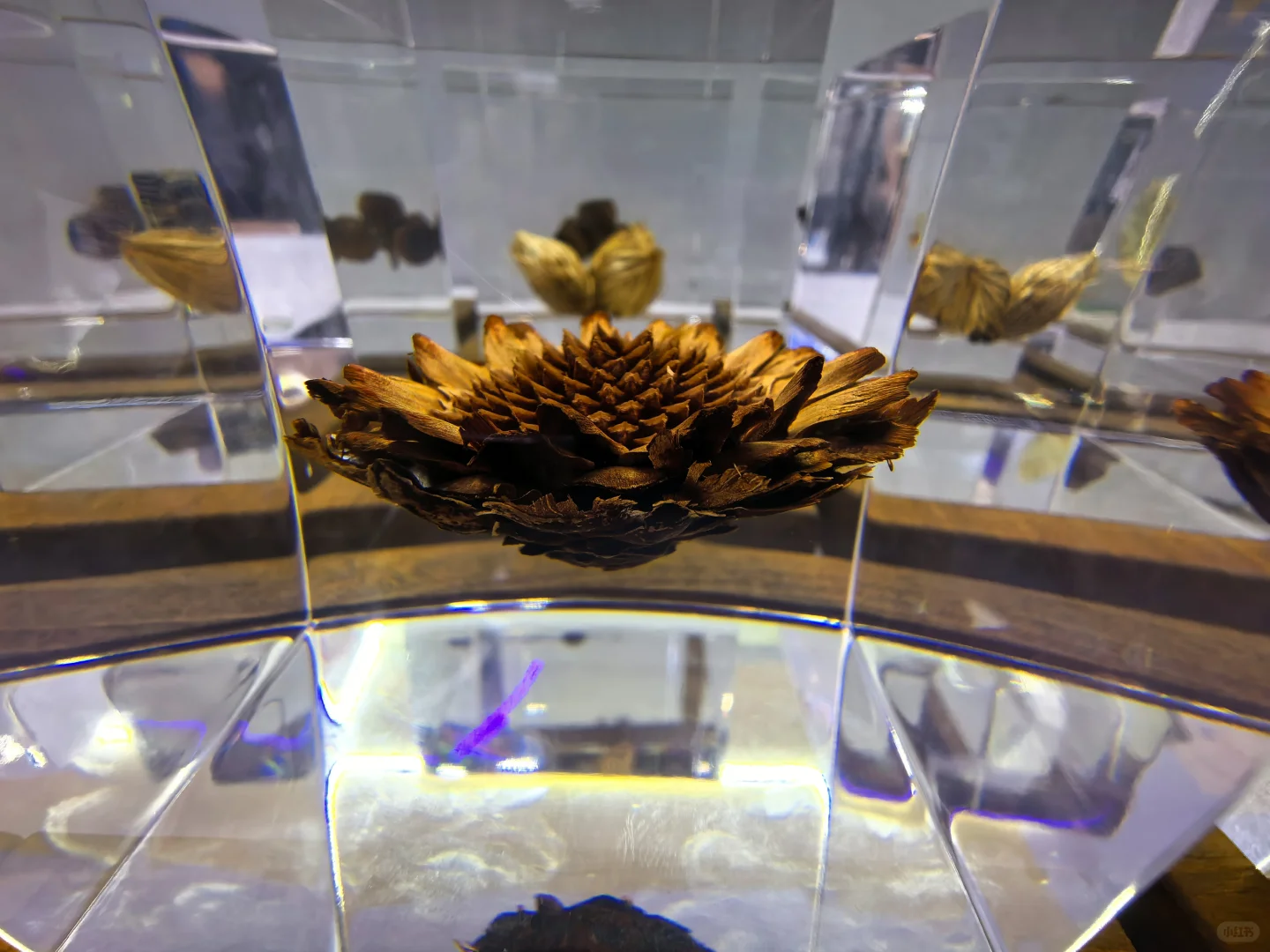 CMF树脂工艺01篇：从液态到固态的工艺魔法