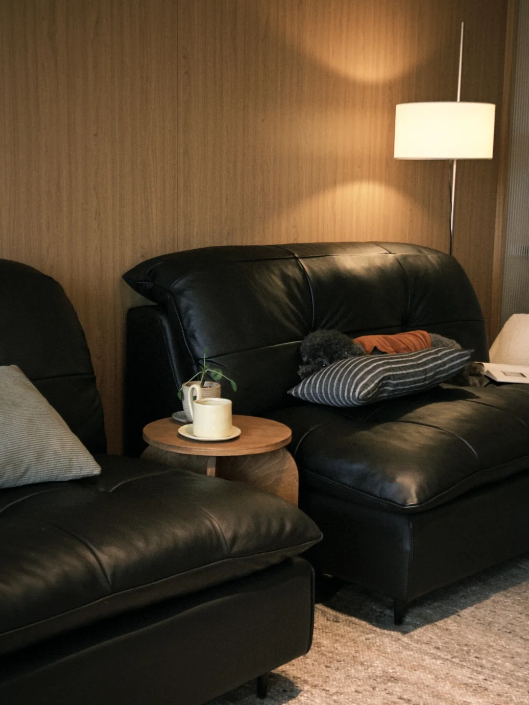 75平小家，这样布置很舒服