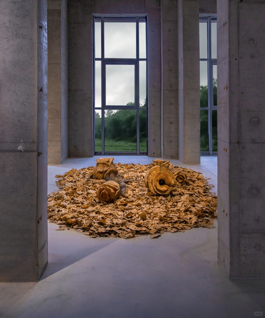 木雕邂逅深秋?艺术与自然的双向奔赴