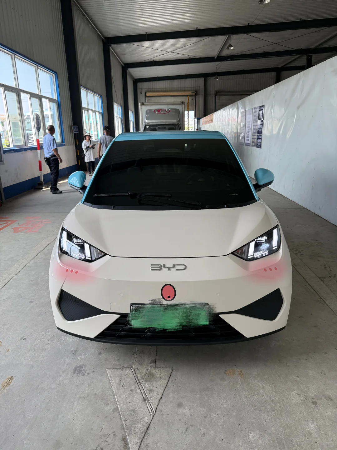 给我的欧子穿新衣服啦