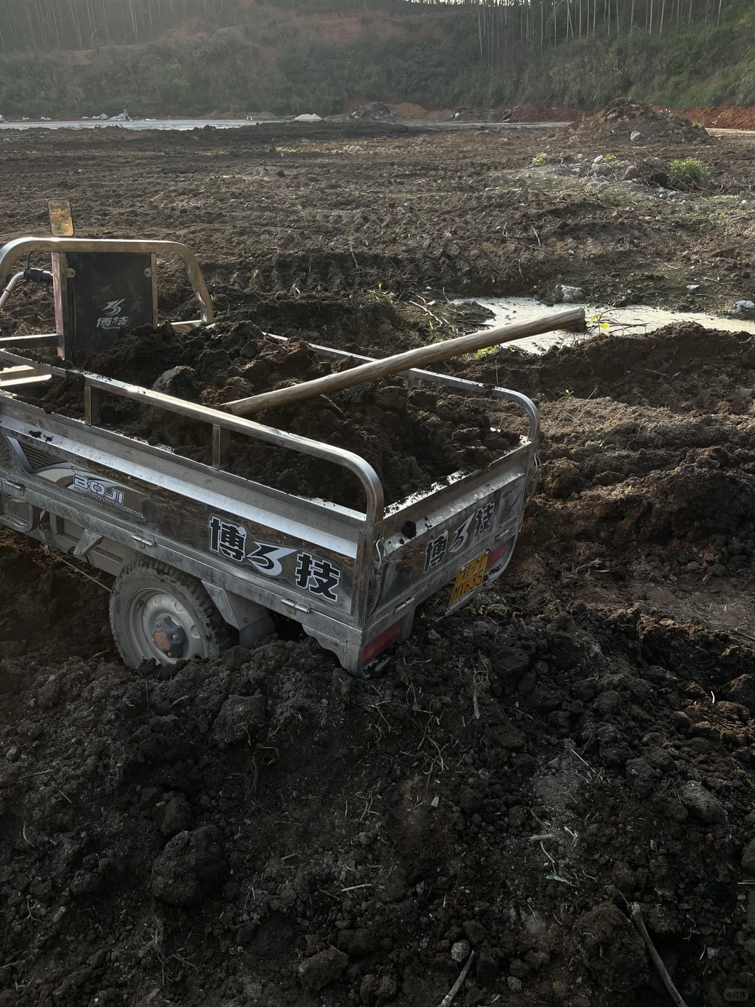 百分百甘蔗渣腐殖土