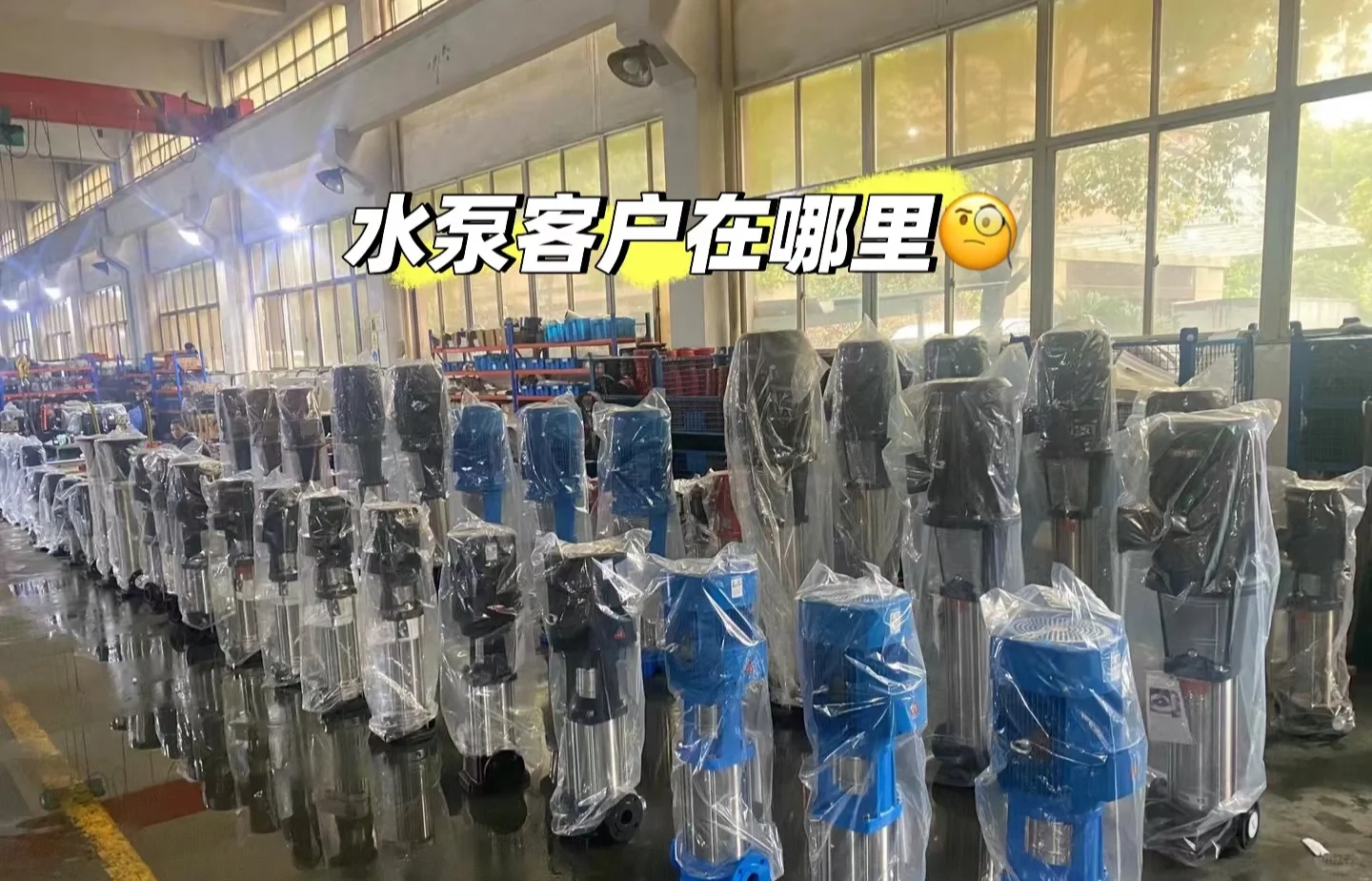 河北保定源头厂家，各种泵都有