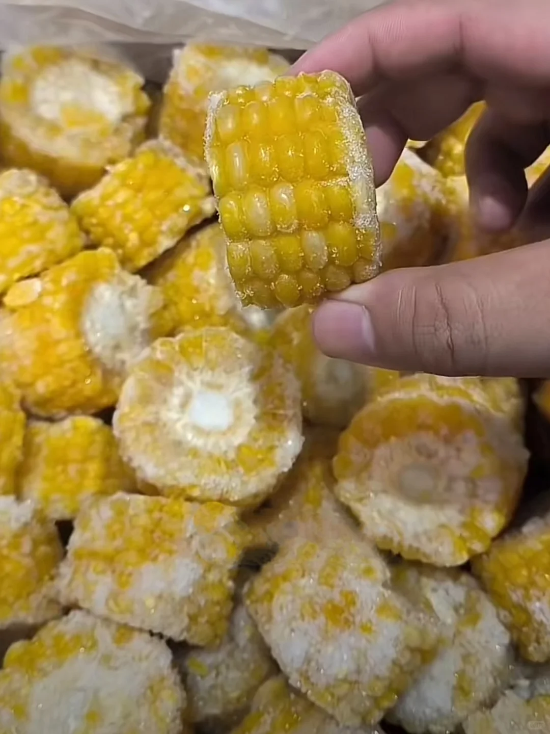 这个世界是巨大的预制菜