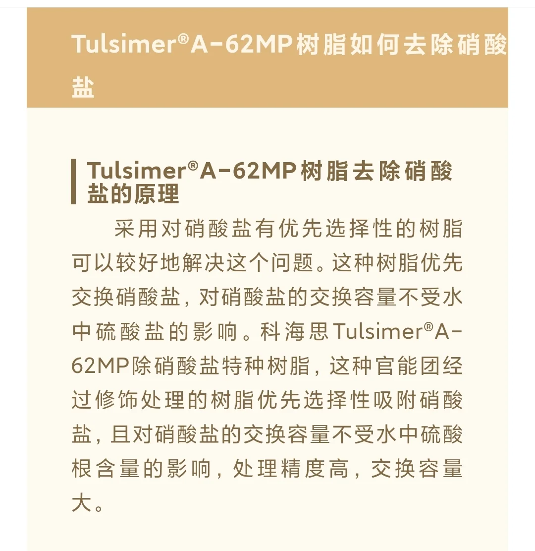 选择性除硝酸盐