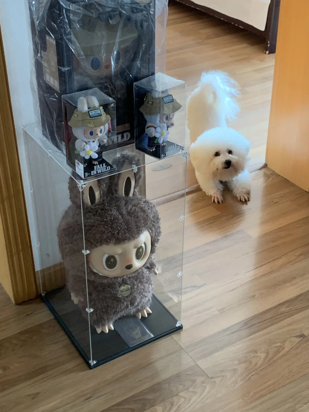 分享一下我收藏的labubu 个人玩家欢迎交流