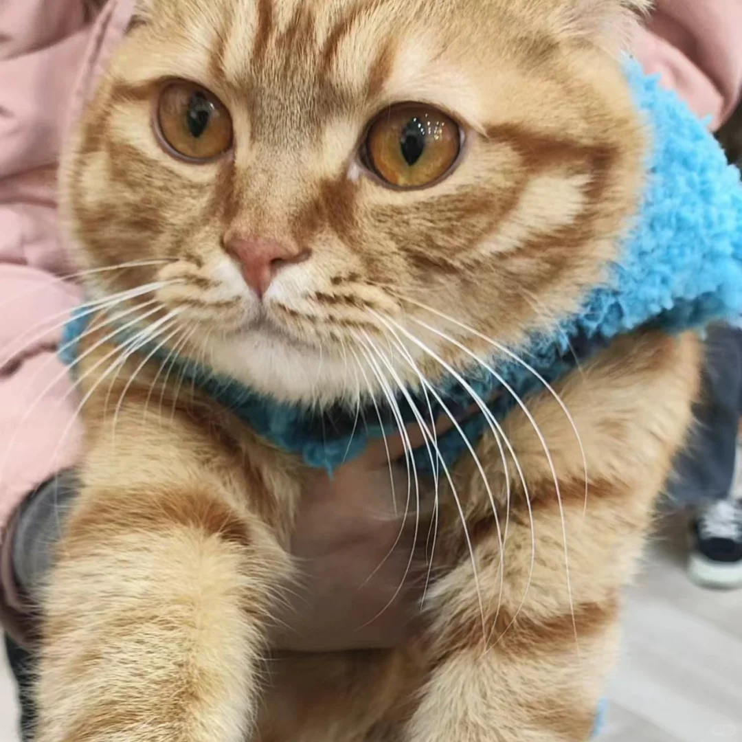 南京仪表源头工厂来啦