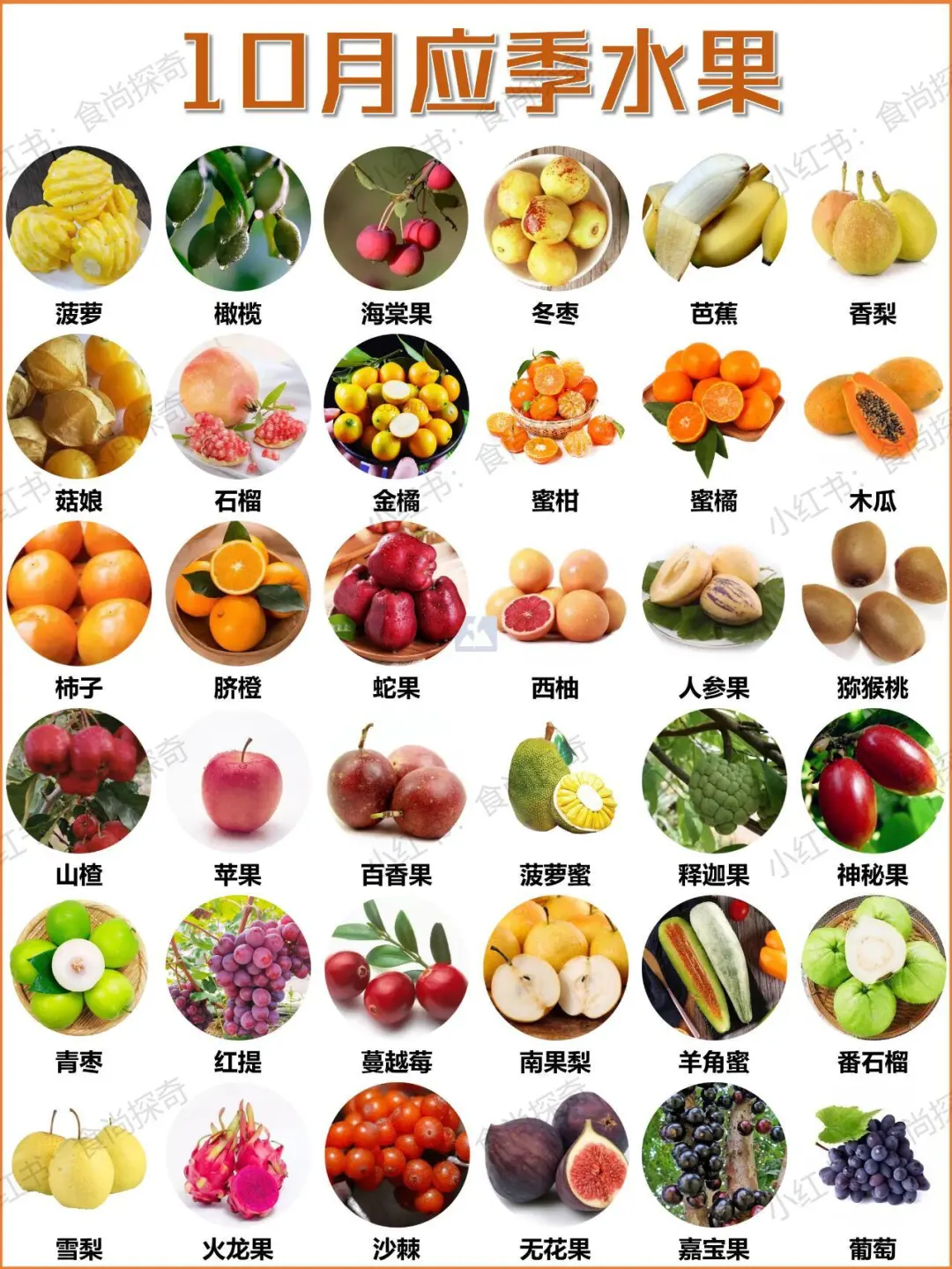 十月应季水果，吃水果当选应季