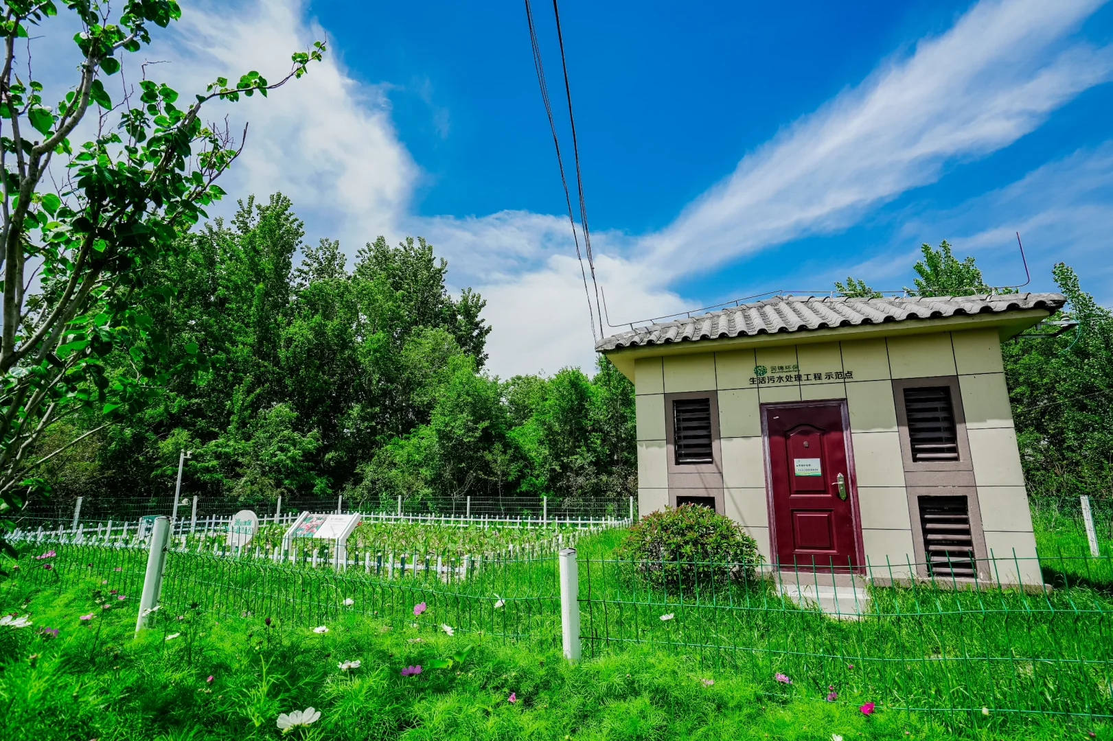 ?什么是污水？污水处理怎么做？