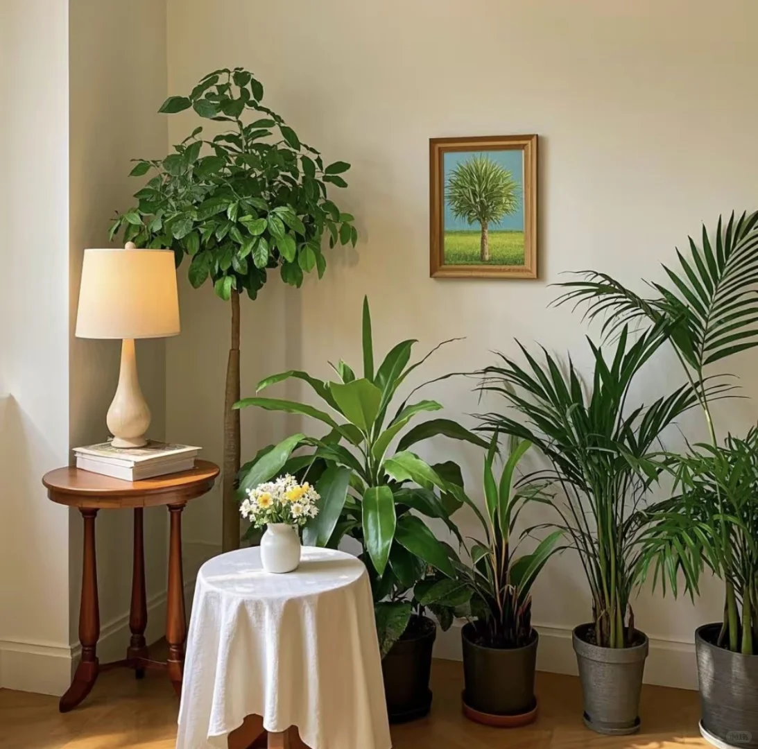 被中式美学美翻了?