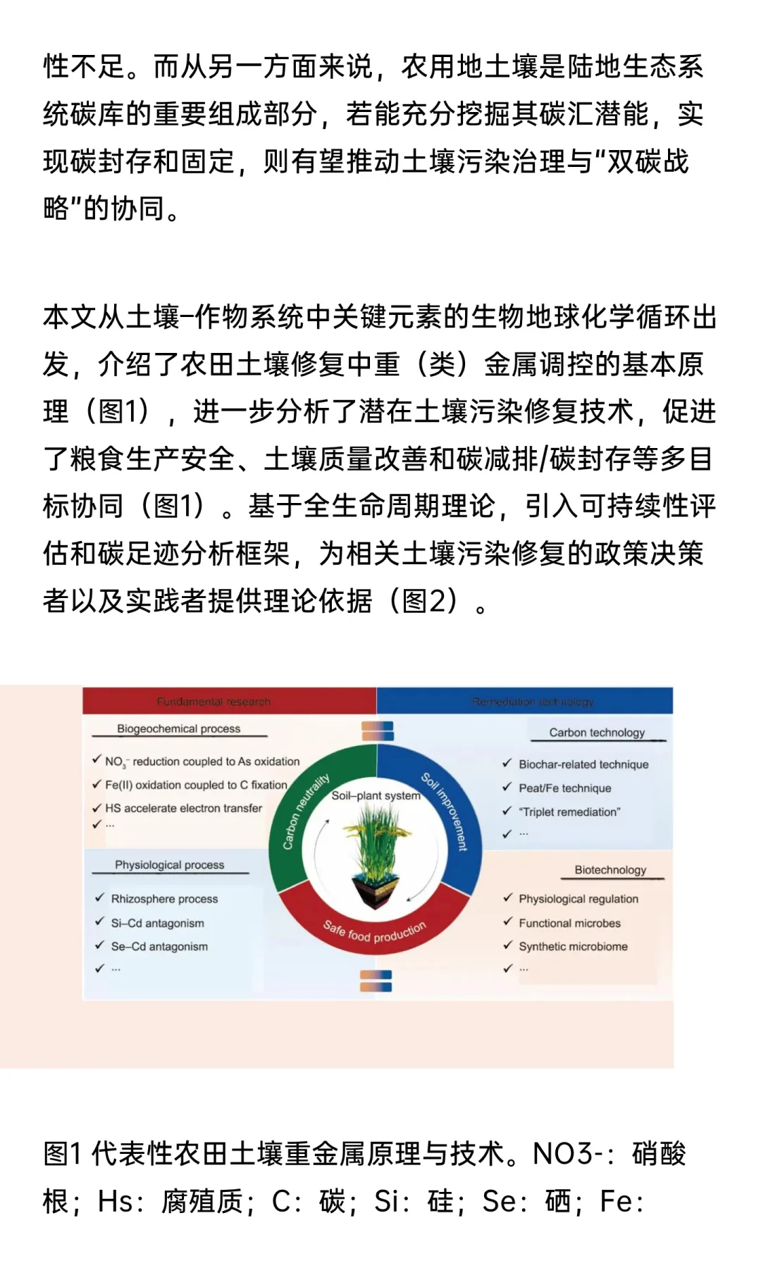 碳中和愿景下中国可持续农田土壤修复路径