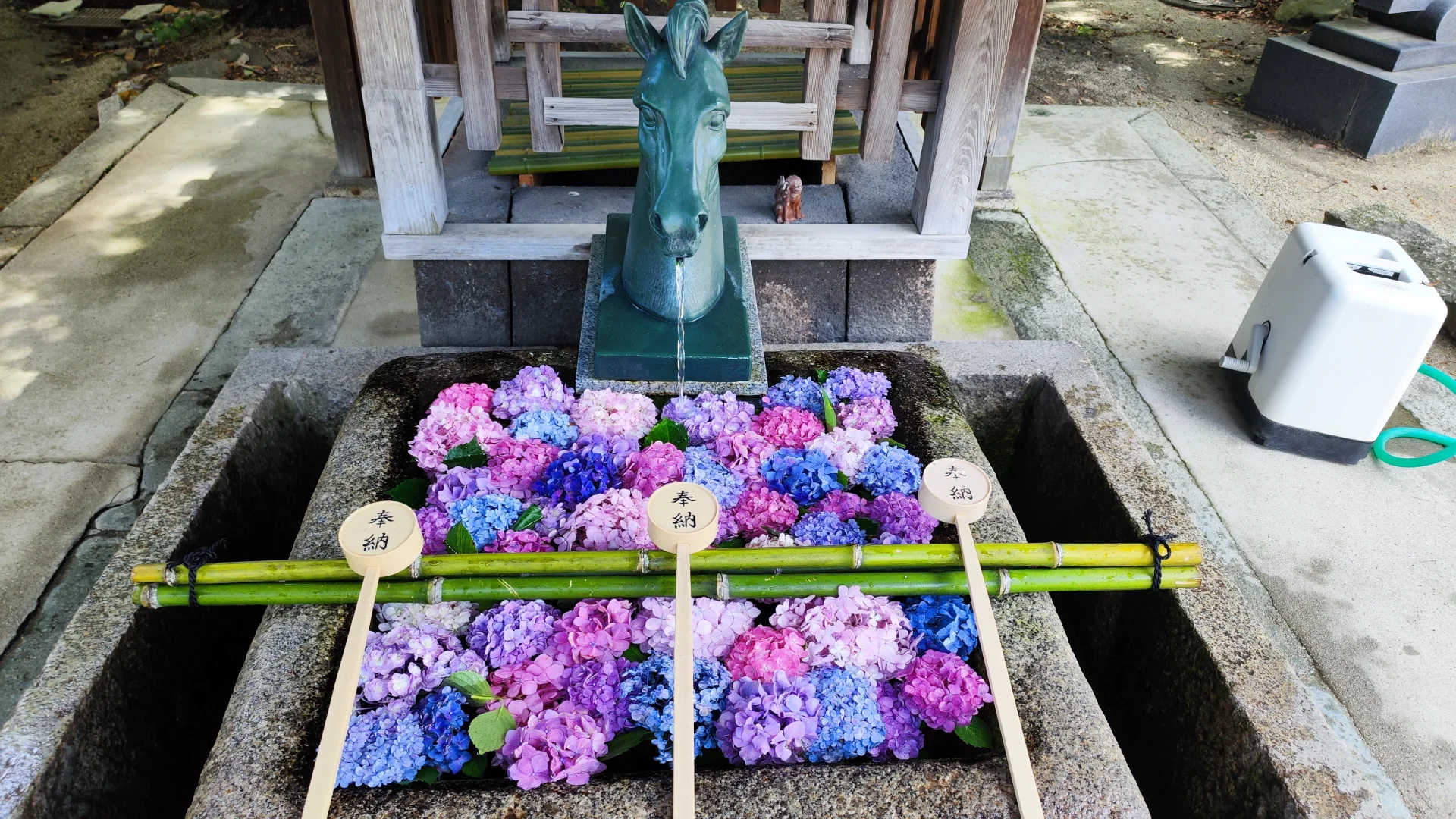 外派法务:央企、国企和大厂2