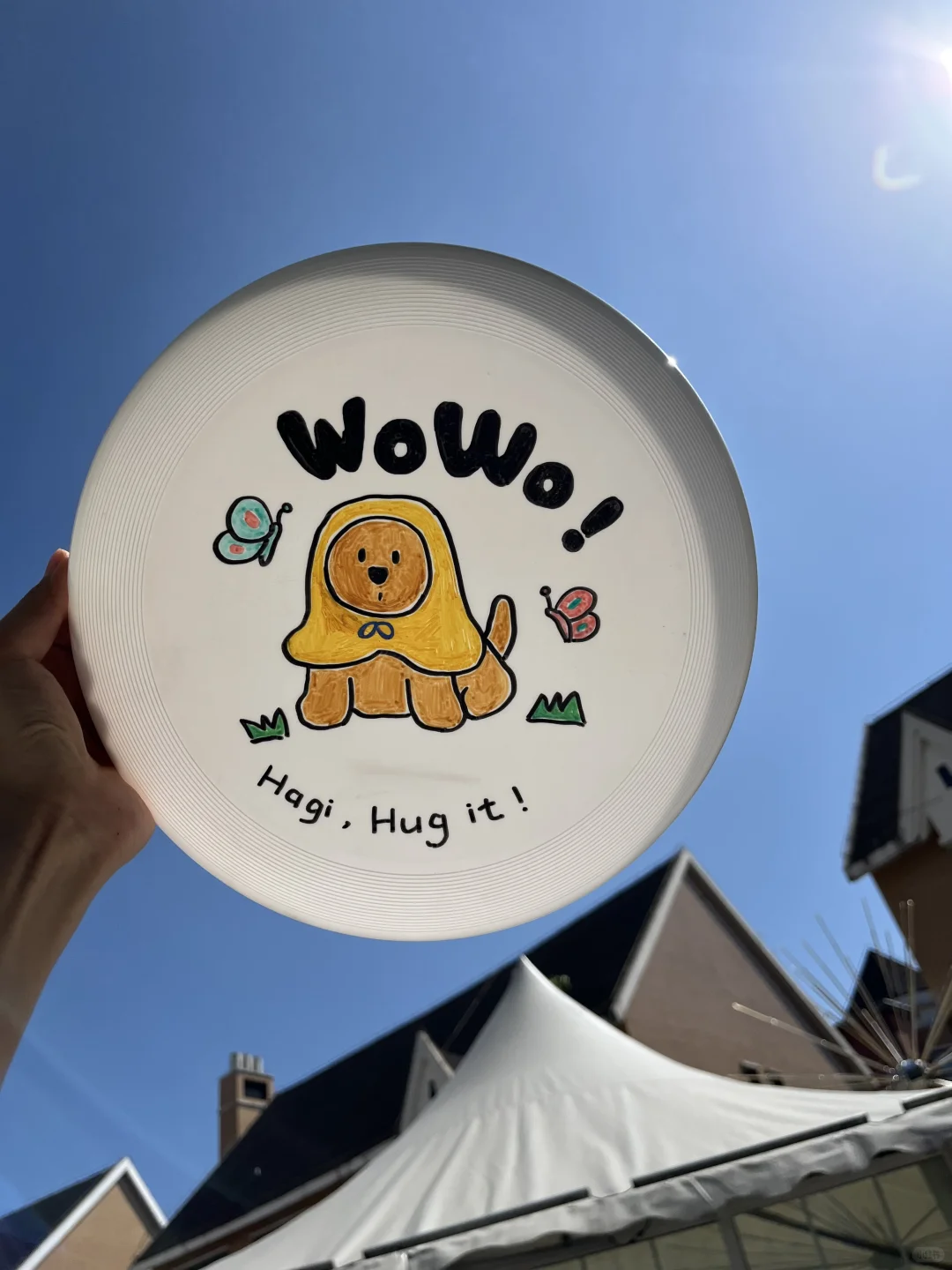 雨衣小狗×飞盘，好可爱?