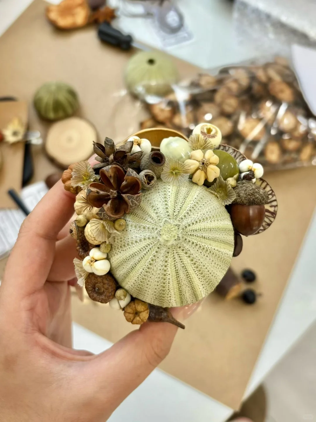 秋季?手工艺品diy