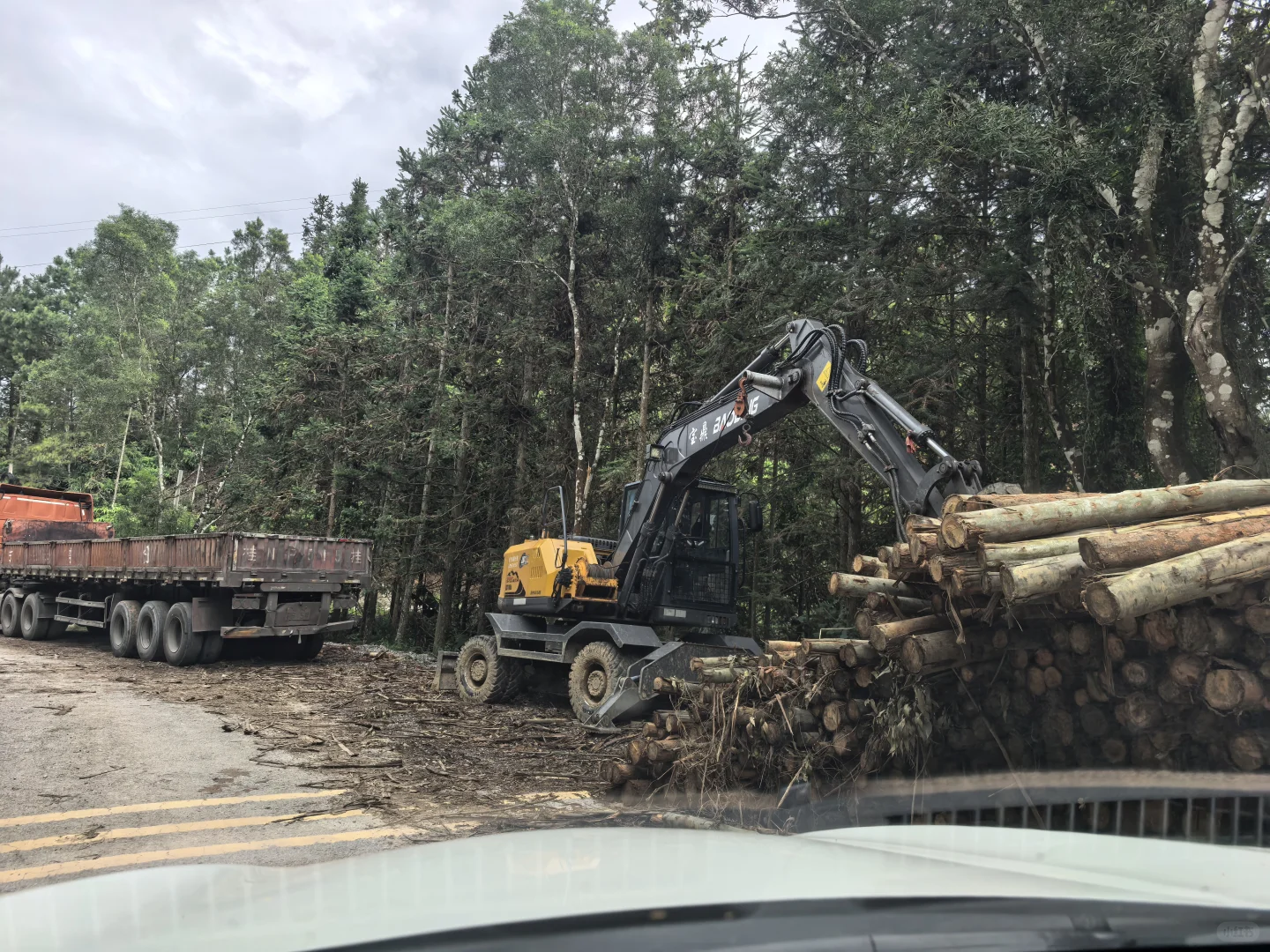 突然发现树皮才是最好的改土材料