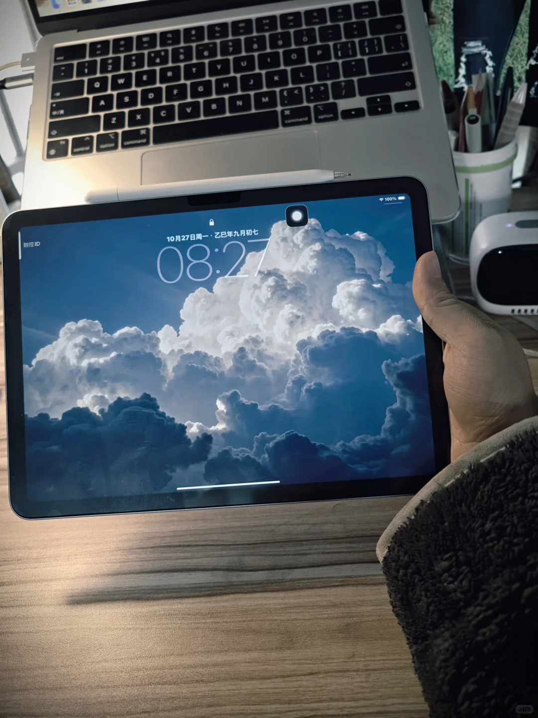 我的美丽小废物们