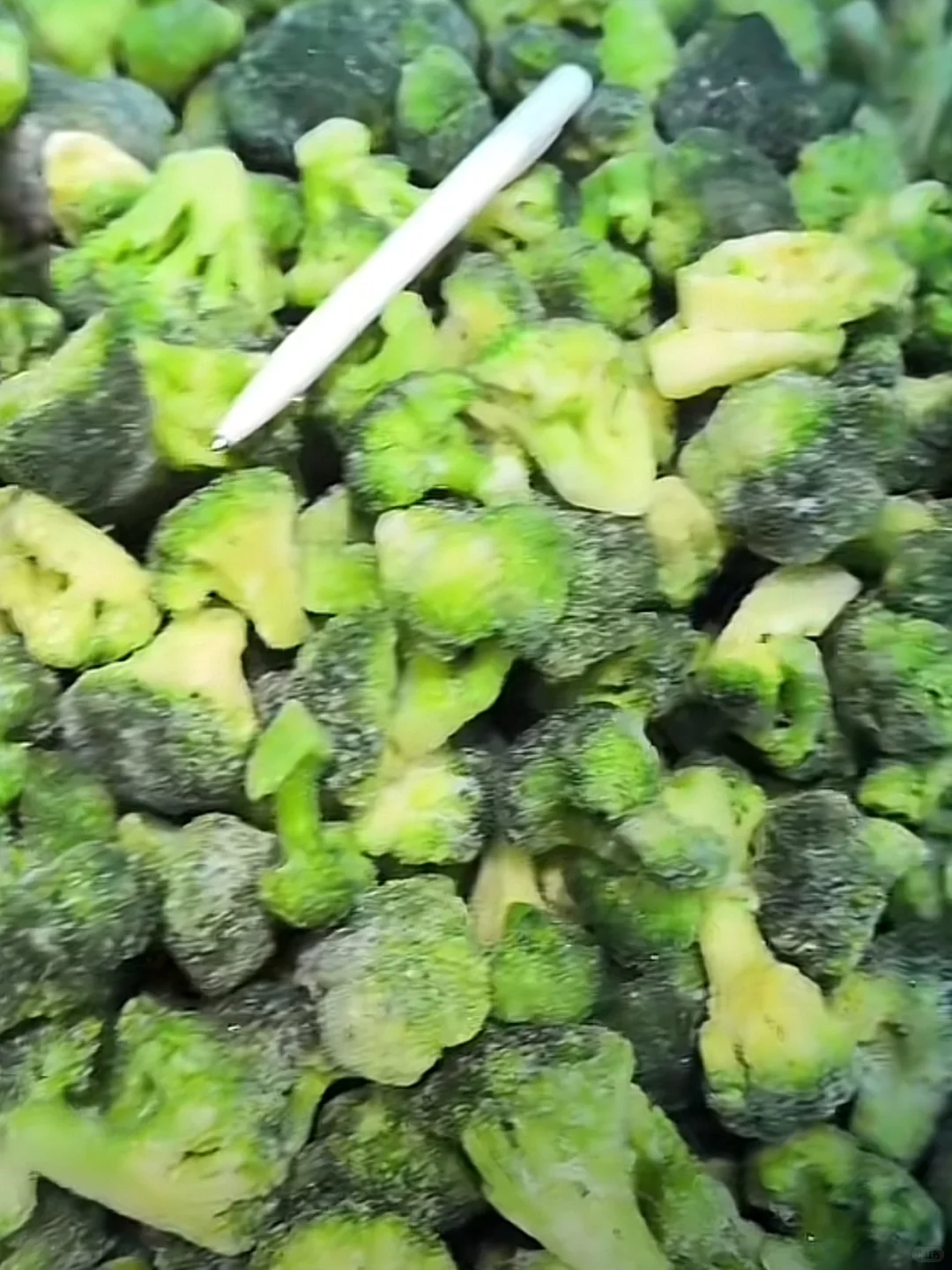 这个世界是巨大的预制菜