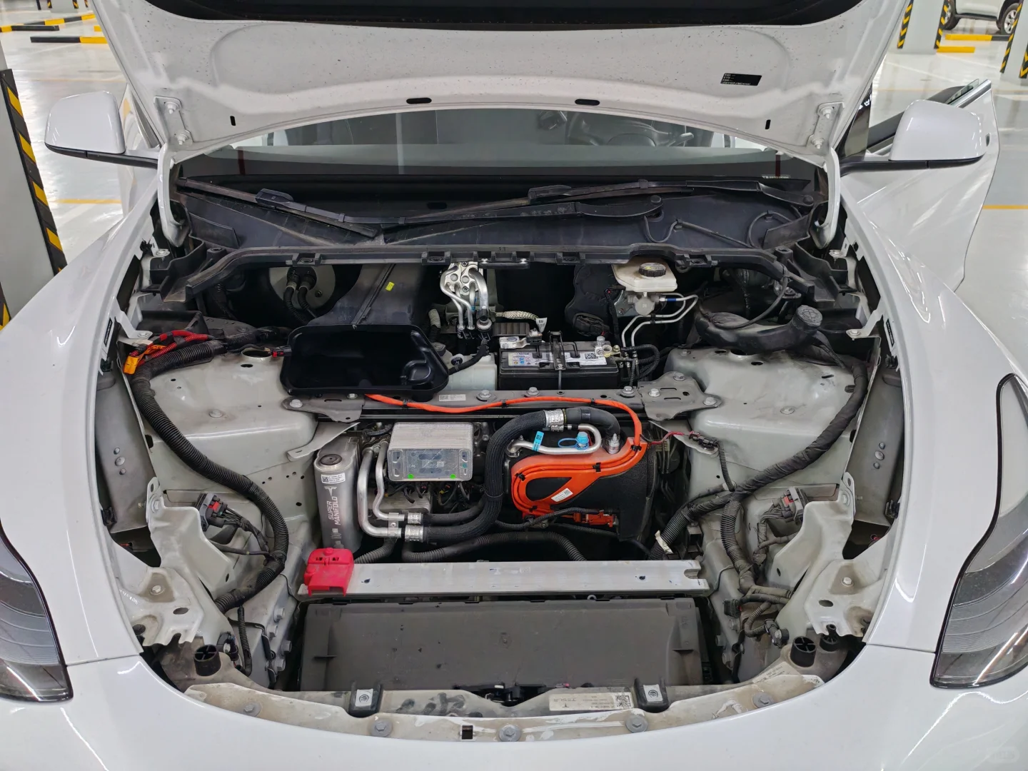 特斯拉警报又来了,活动的不会自消除!