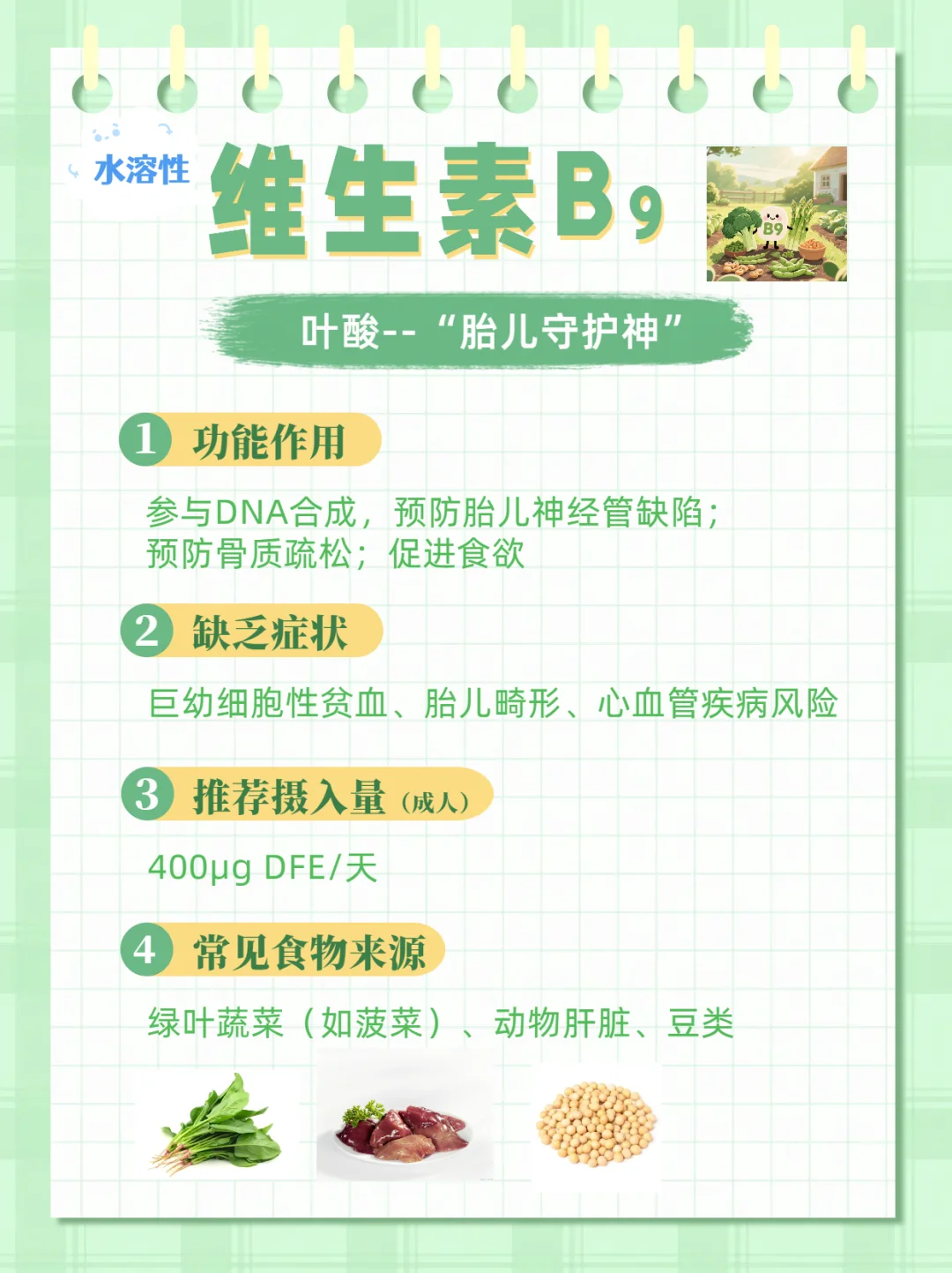 ?一文详解维生素大家族｜从A到K超全 ！