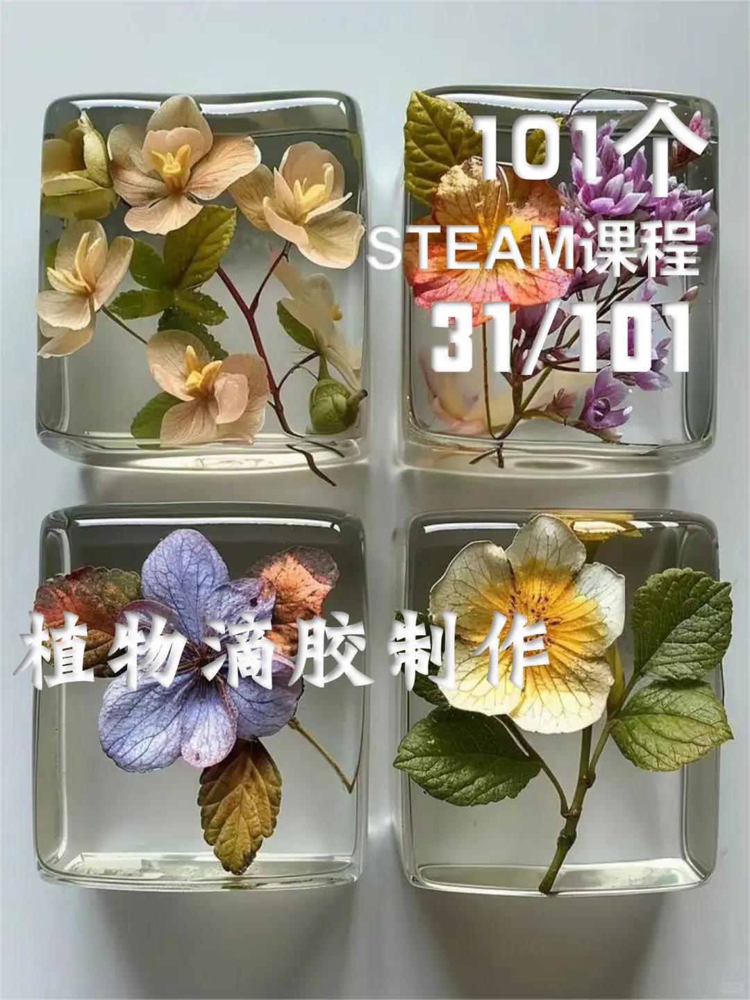 植物滴胶制作