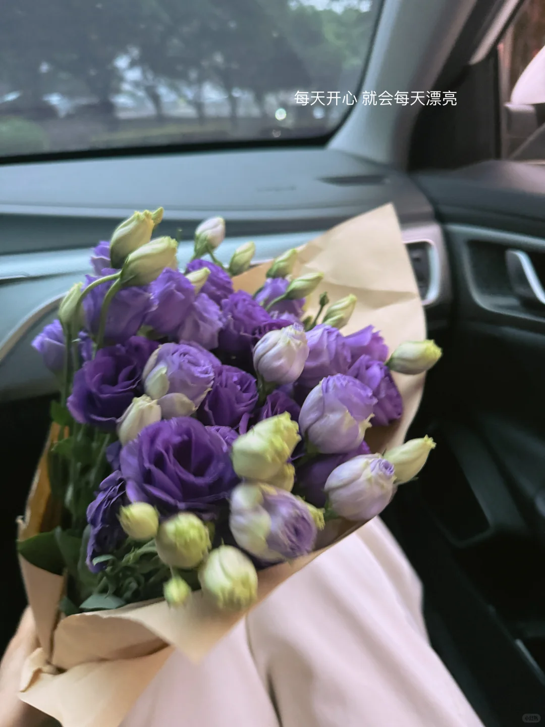 Plog ?? 还好 美好占了世界的大多数