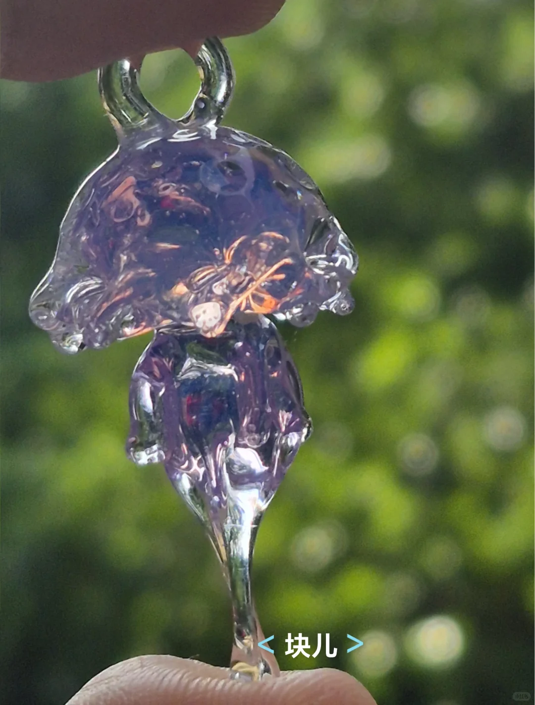 最近在直播间买的一些水母测评