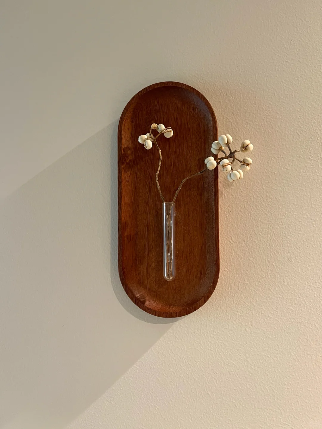 抄作业成功｜6块?的快乐