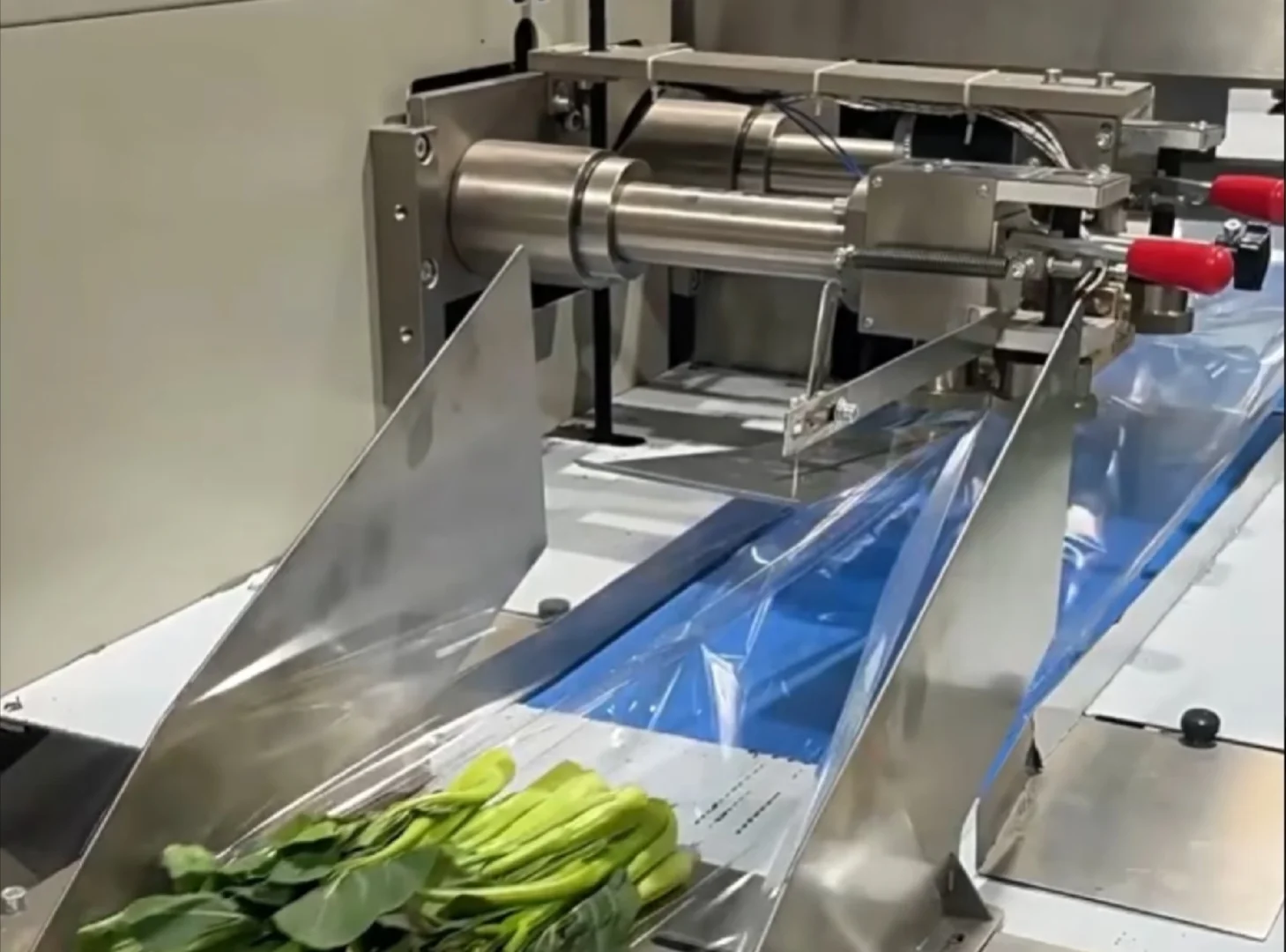 机械设计——叶菜清洗设备