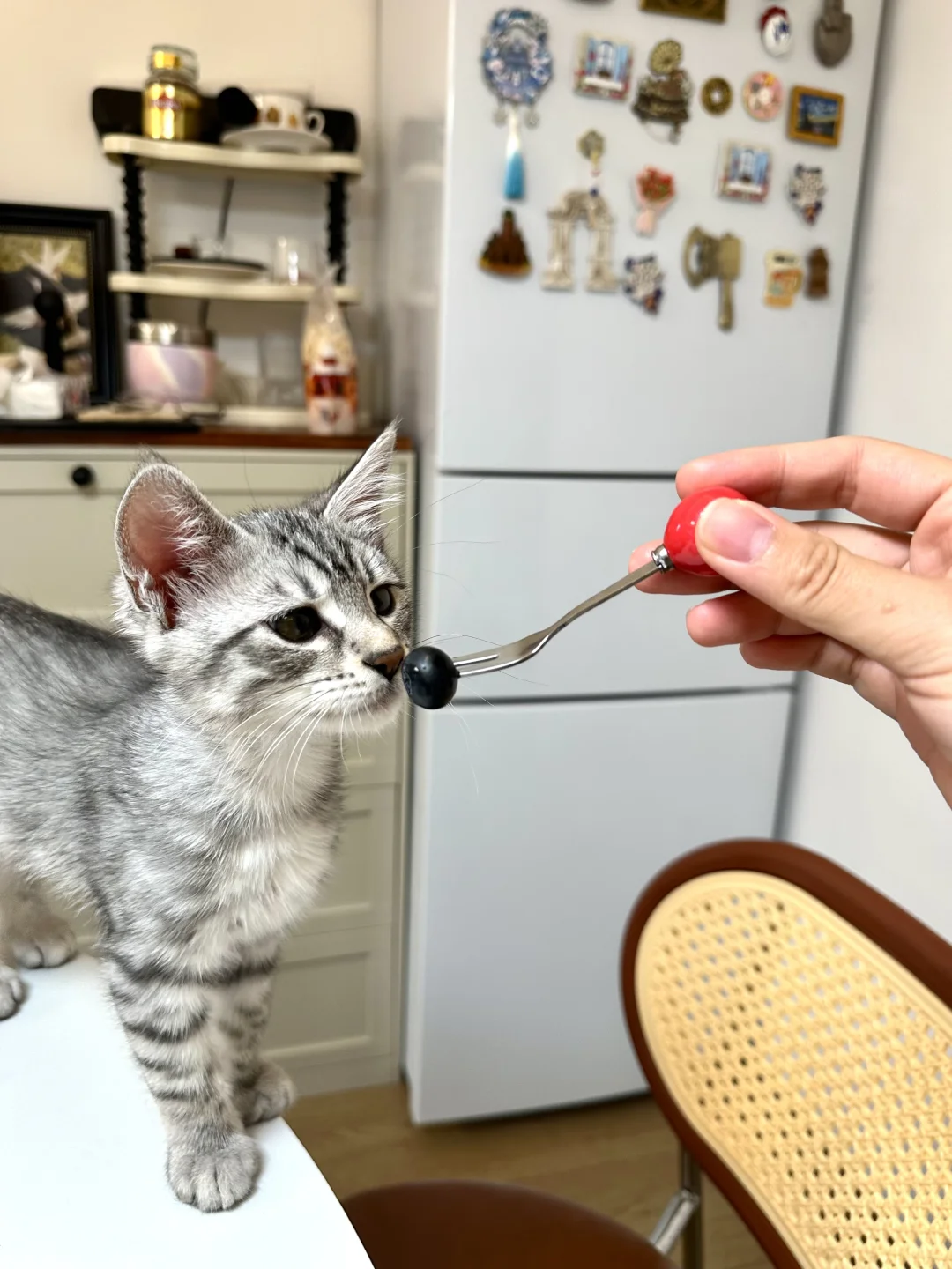 新家快递（9/100）怎么会有这么可爱的水果叉