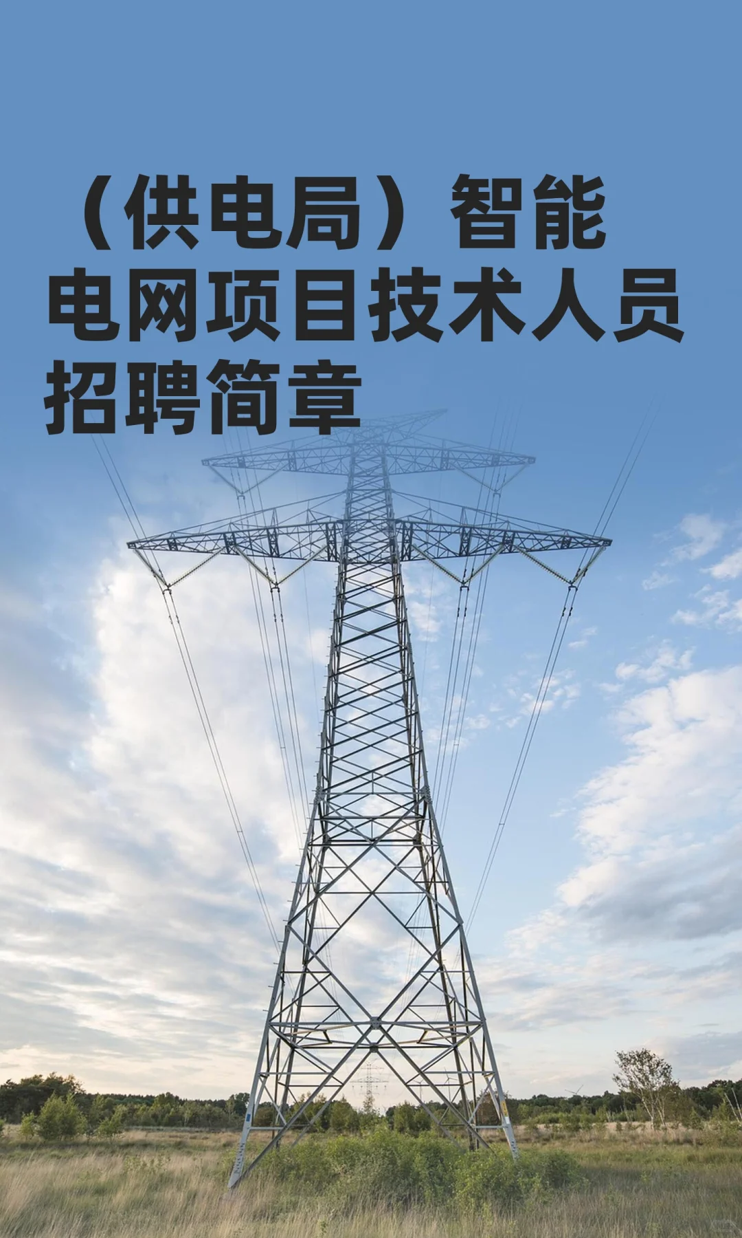 （供电局）智能电网项目技术人员招聘简章
