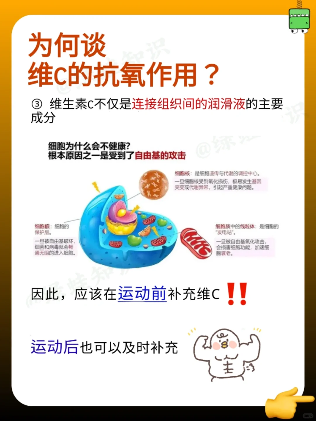 天呐❗️运动到底是有多消耗维C啊?