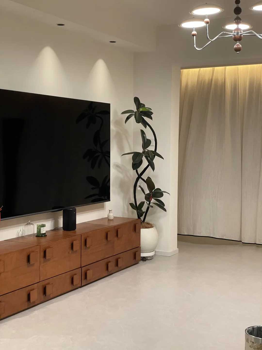 ?抄作业成功！网购绿植从未失手