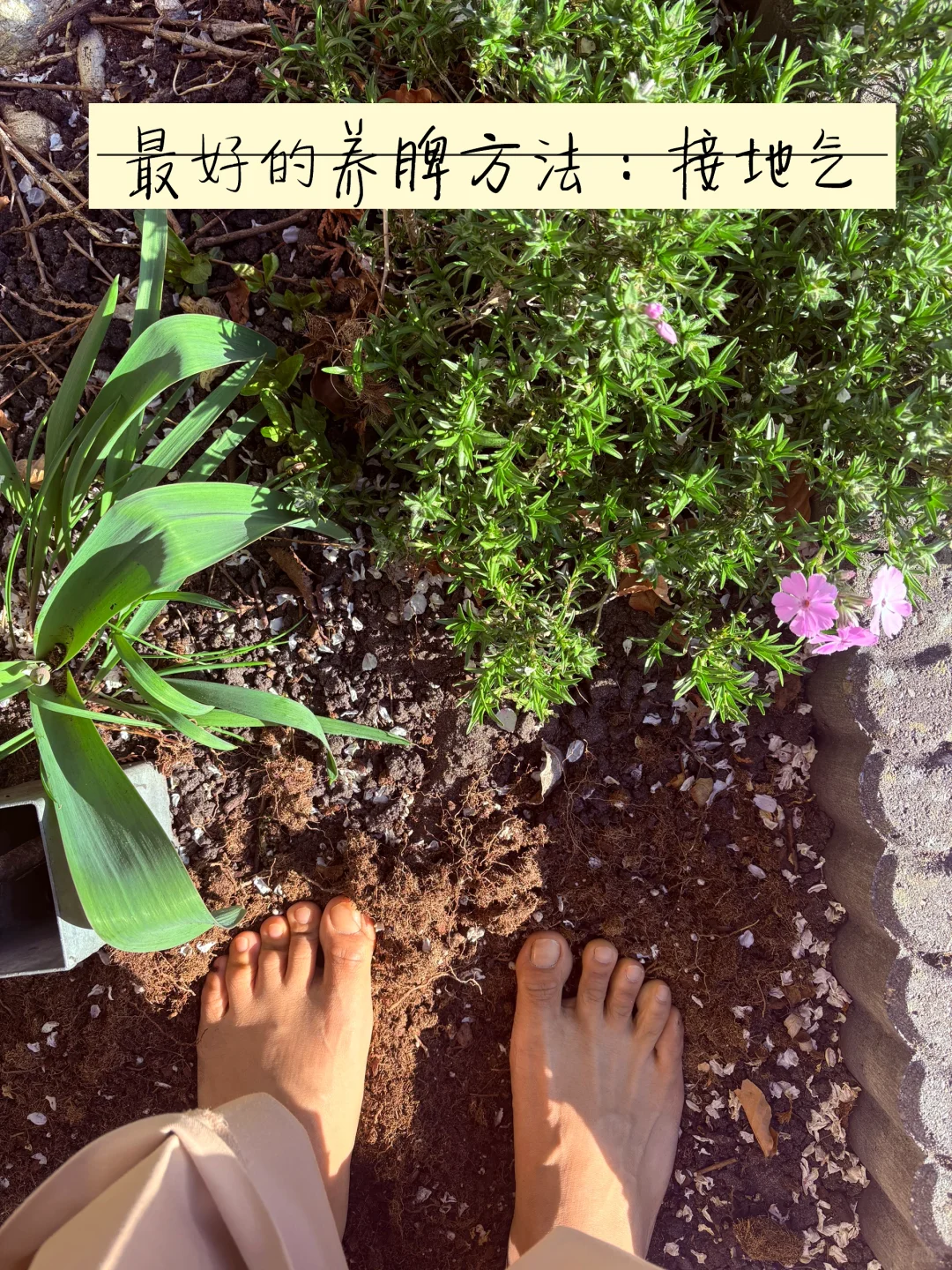 最好的养脾方法—踩土，接地气