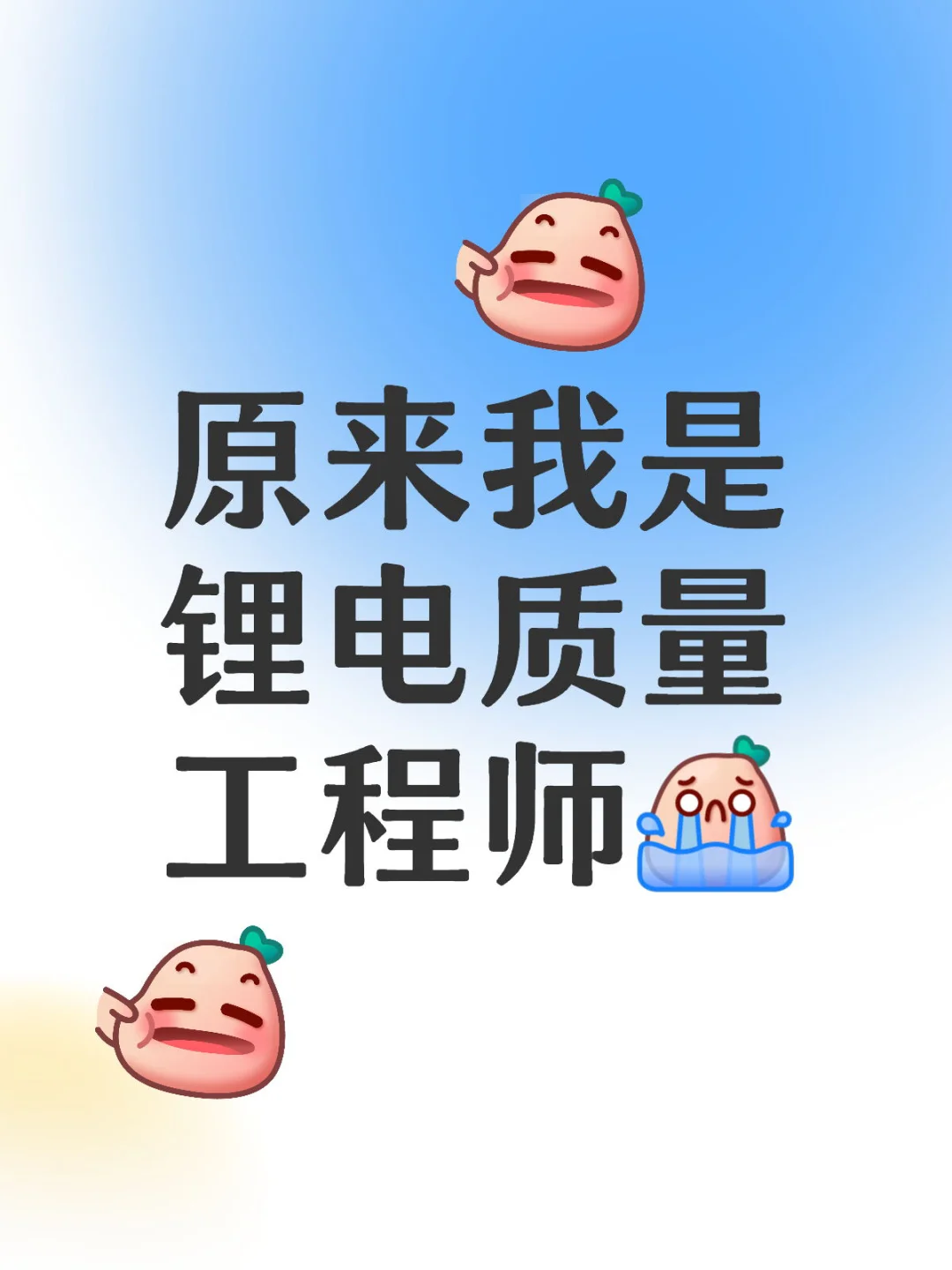 原来我是锂电质量工程师。