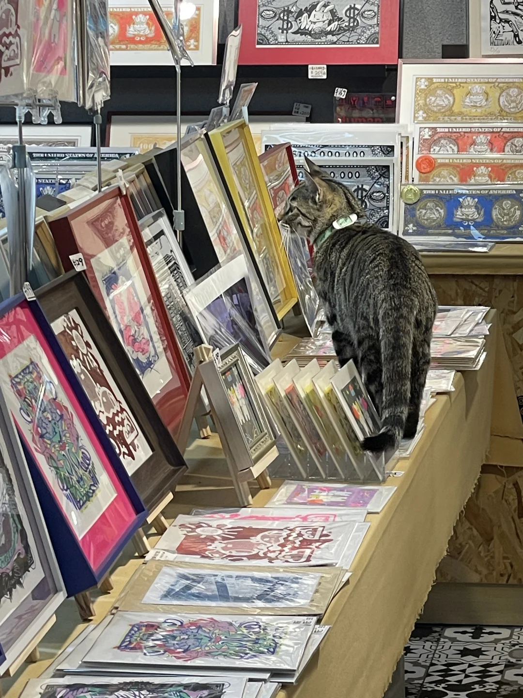 版画工作室里的猫咪鉴赏家?