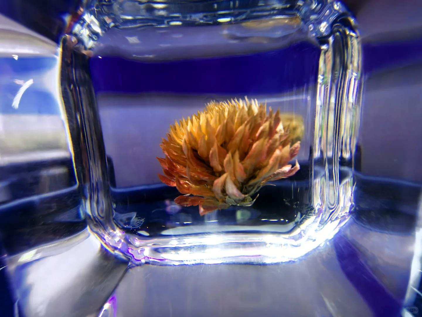 CMF树脂工艺01篇：从液态到固态的工艺魔法