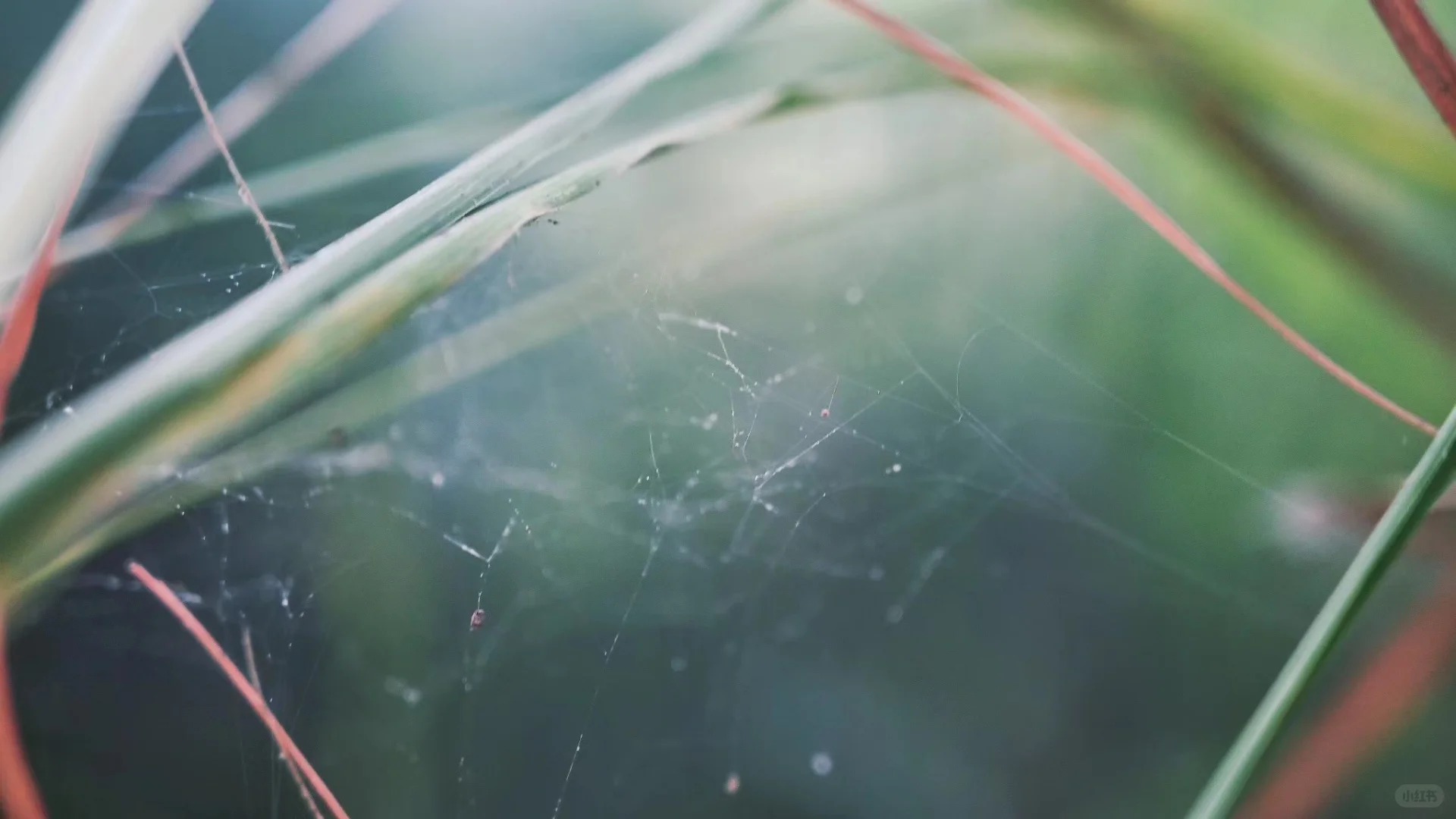 破碎但又泛着光