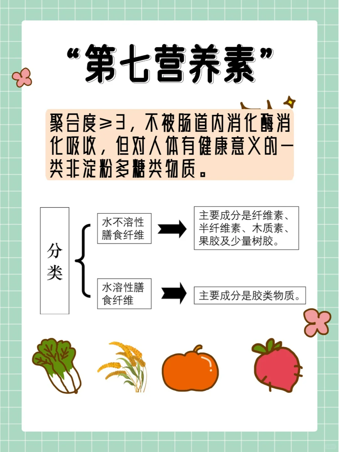 每天学点营养学-膳食纤维