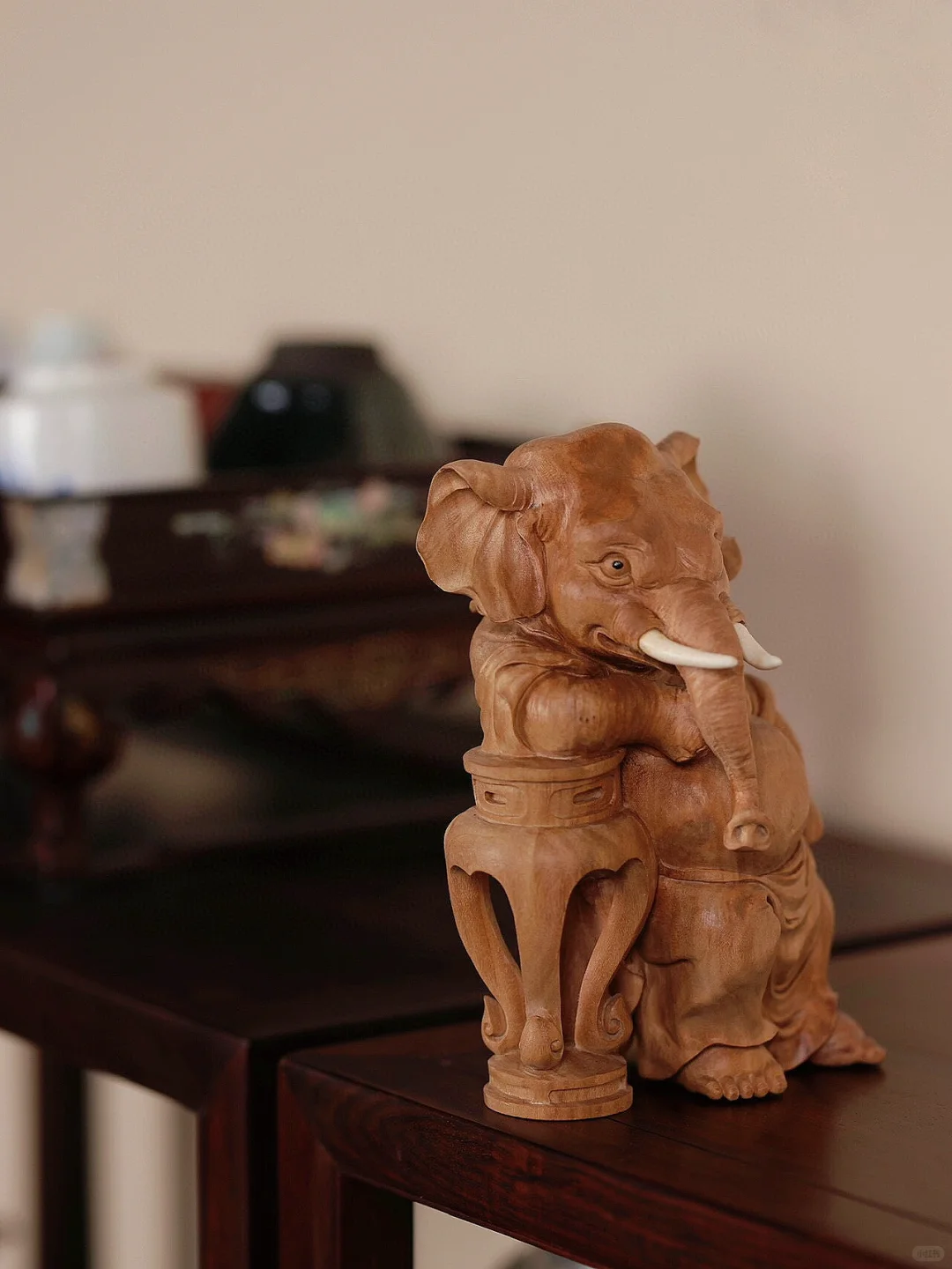 谁能拒绝酷酷的小象呢