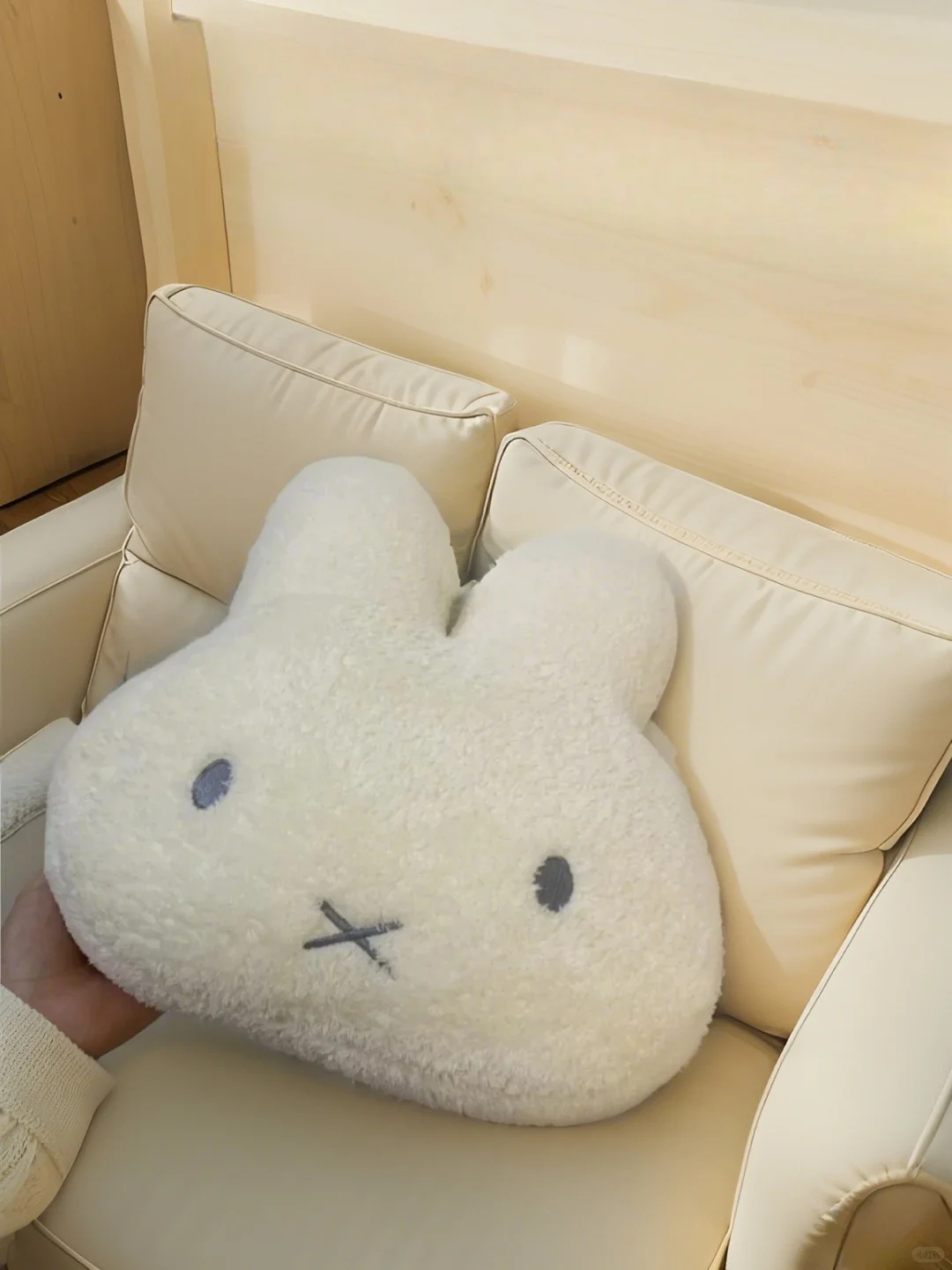 淘到宝了??10.9r的兔子抱枕！好可爱