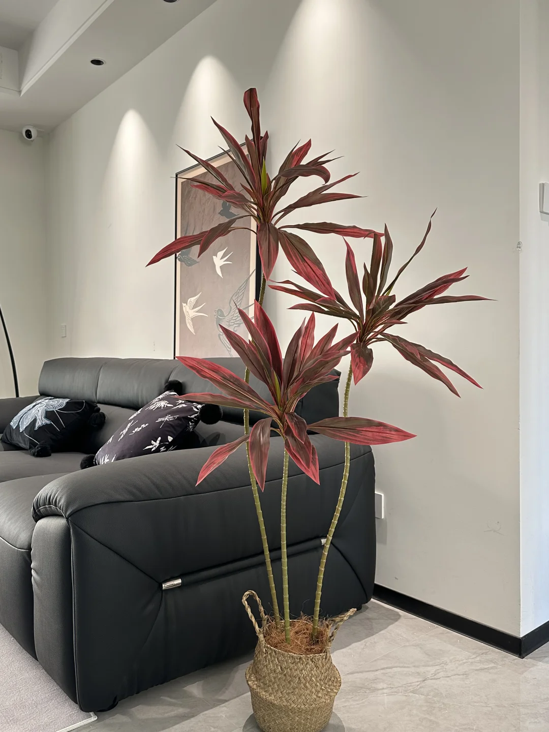 黑白灰的小家太需要它了！！