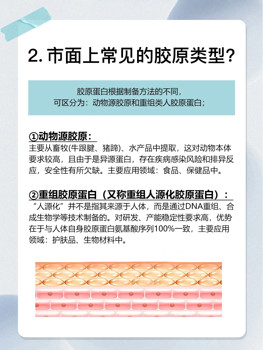 胶原蛋白怎么补❓4步避免智商税❗️
