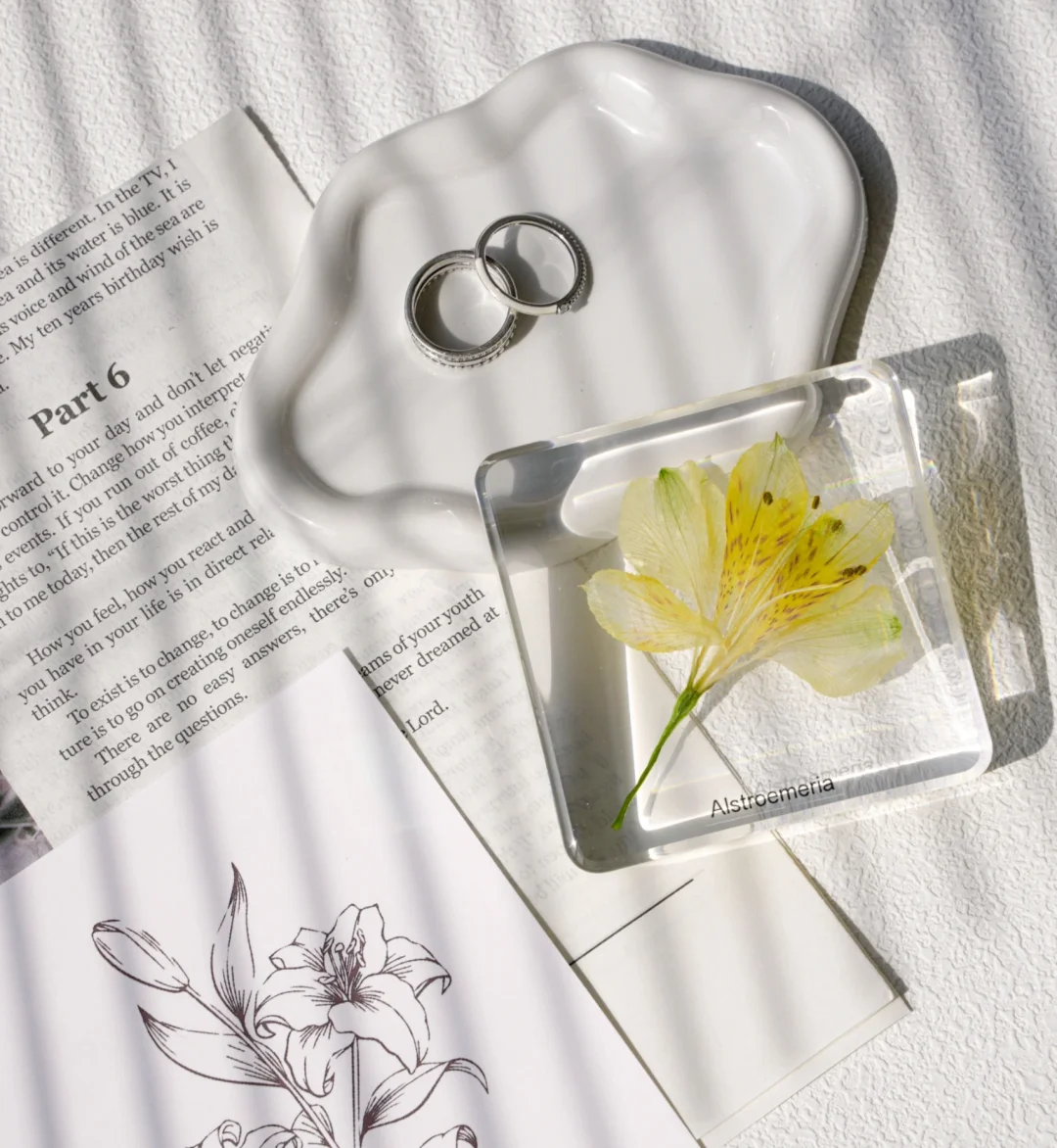 ✨超详细！水仙百合树脂标本制作记录