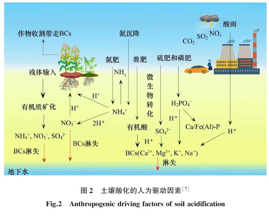 综述 | 酸化土壤改良与固碳研究进展