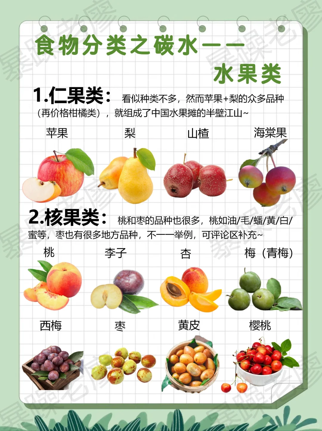 食物分类3-水果(附日常安排要点)