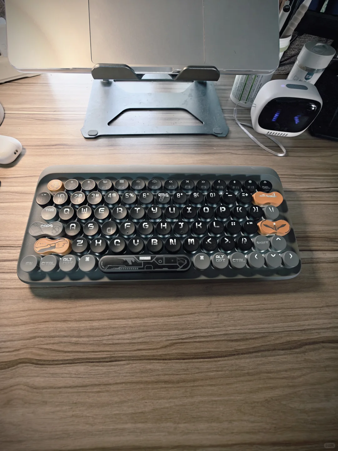 我的美丽小废物们