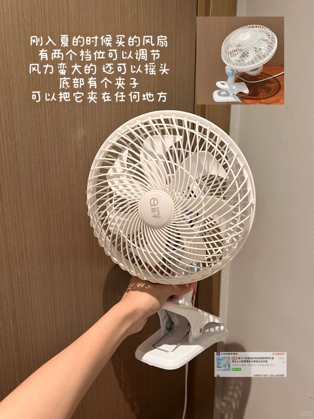 写一些平价实用的租房小家电（附?）