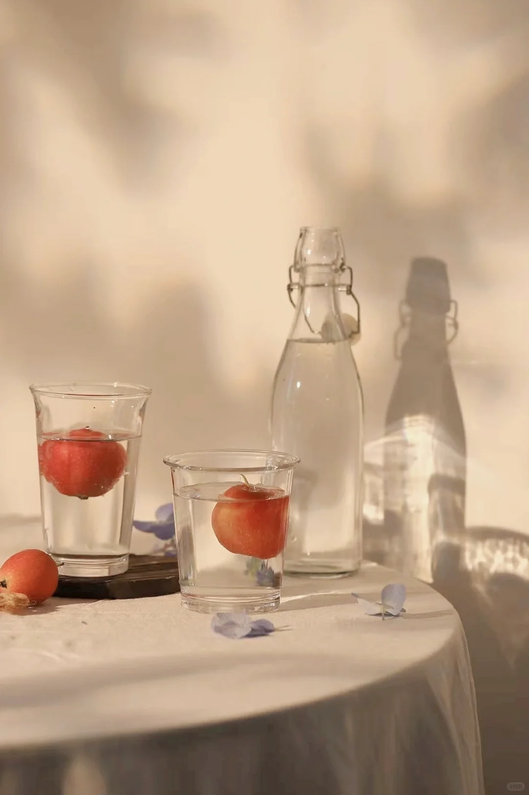 静物摄影|阳光下的静物（附布景）